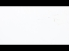 NEMA 23 पैनकेक स्टेपर मोटर अल्ट्रा - थिन हाई - टॉर्क परफॉर्मेंस