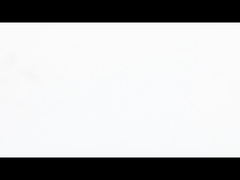 कॉम्पैक्ट पैकेज में NEMA 8 पुशरोड स्टेपर मोटर सटीक रैखिक पुश